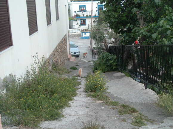 La calle desde el Cerrillo a la Canal, antes