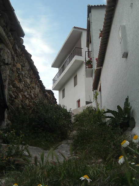 Las hierbas y la tierra darn paso al cemento (eso creamos) El callejn, antes