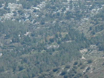 EL GAYUMBAL (entre los pinos)