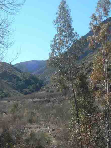 El barranco de Alczar desde El Puerto